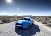 Shelby Cobra GT500 Show Car